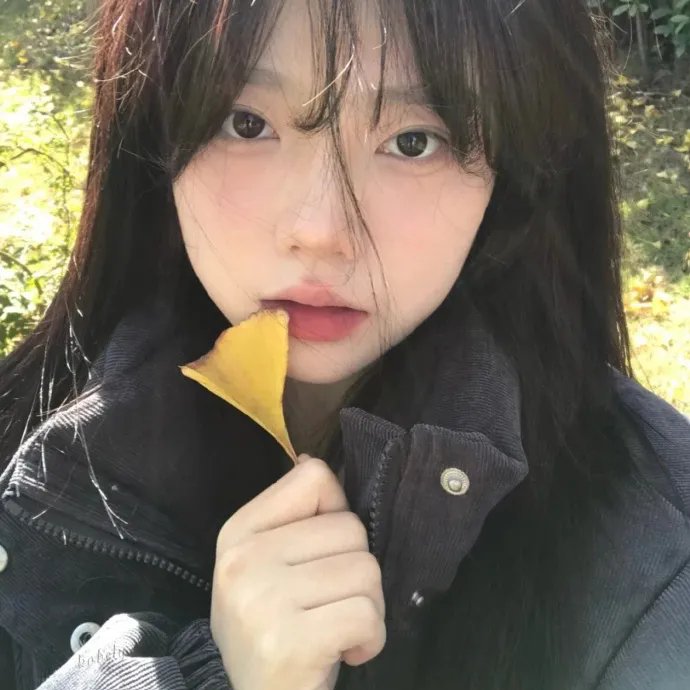 野营 高清封面