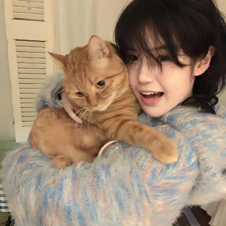 猛鬼街6国语 高清封面